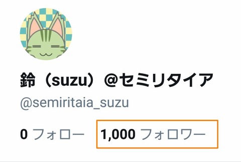 フォロワー1,000
