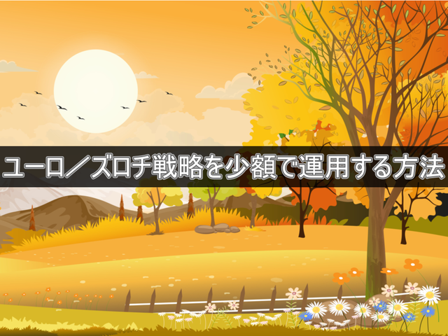 ユーロ/ズロチ戦略を運用する方法【トレイダーズ証券】
