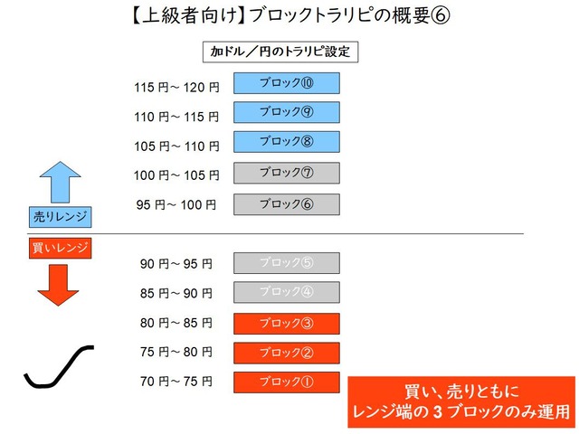 資金効率向上のブロックトラリピの概要⑥