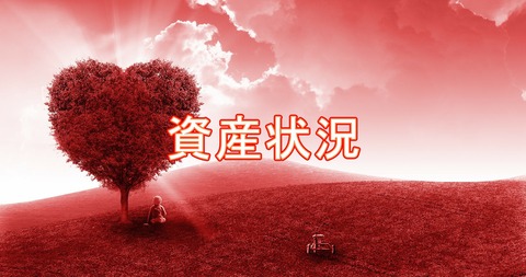 資産状況