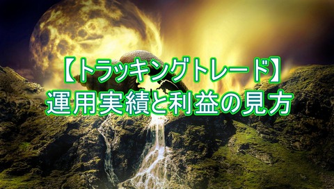 トラッキングトレードの運用実績と利益の見方