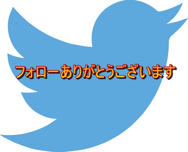 皆さんツイッターのフォローありがとうございます 不労所得でセミリタイアを目指す30代のブログ