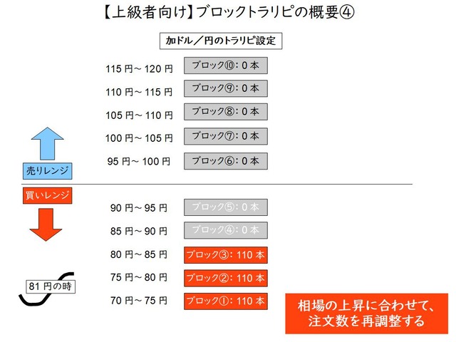 資金効率向上のブロックトラリピの概要④