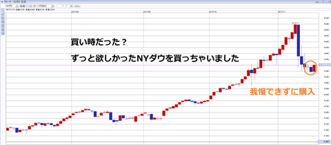 NYダウを購入