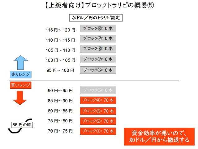 資金効率向上のブロックトラリピの概要⑤