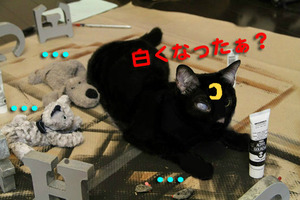 BlogPaint