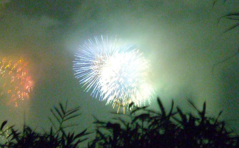 ８月１日 土 曇り 晴れ 花火大会 もも日記２