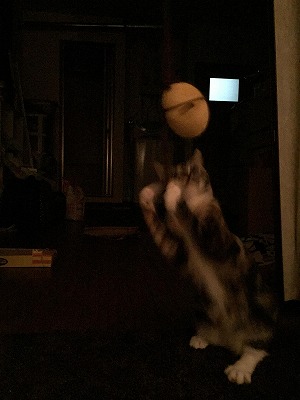 rUKrSKW