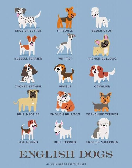 dogs-english