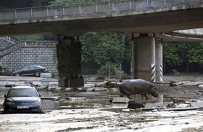 Tbilisi-Georgia