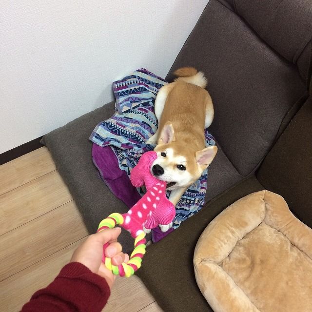 YqvBnmp