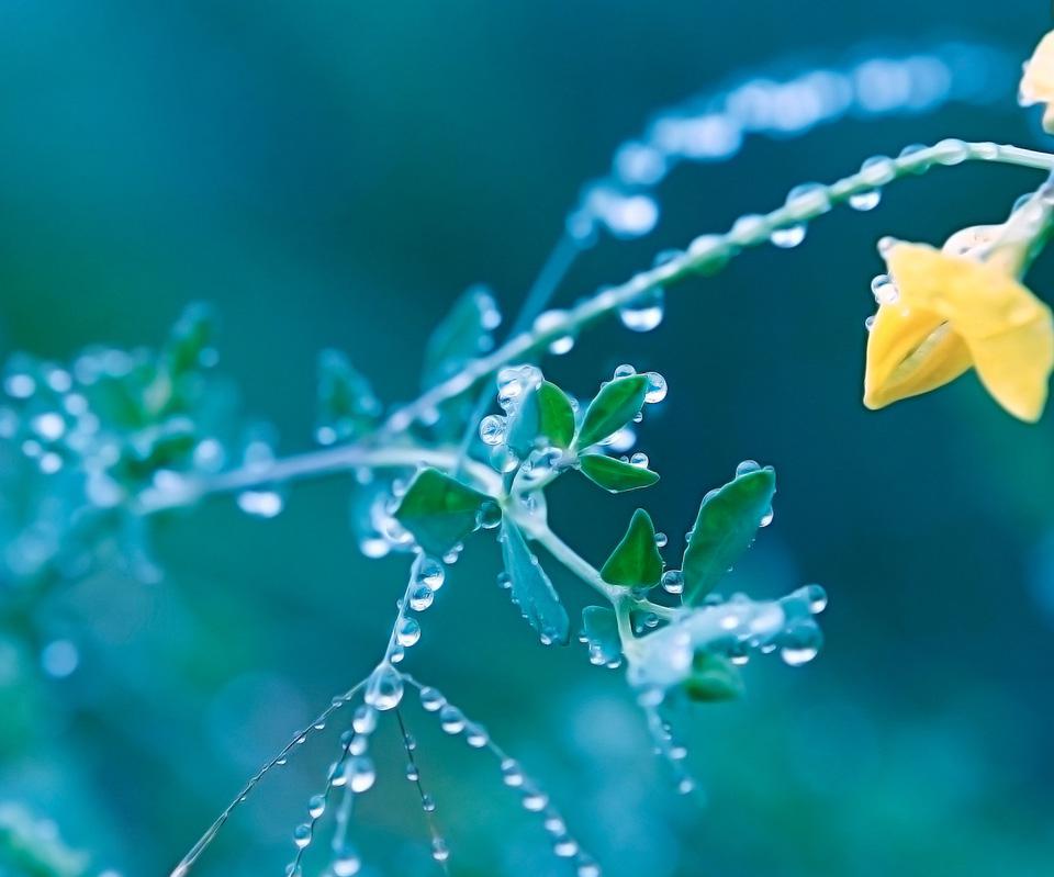 自然の風景の美しさ ロック画面の映像 4k Hdの携帯電話の壁紙pc壁紙 風景 壁紙