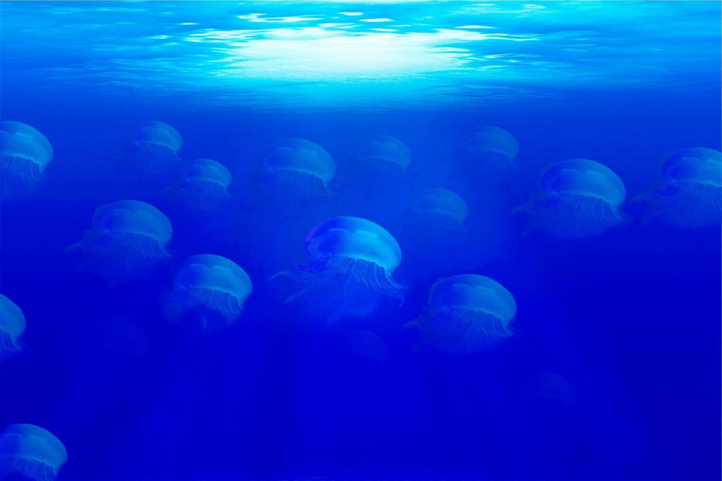 クラゲ 海 海 海底 海洋動物アniメ4kの壁紙 水 青 高精細の画像 材料を入力します 壁紙