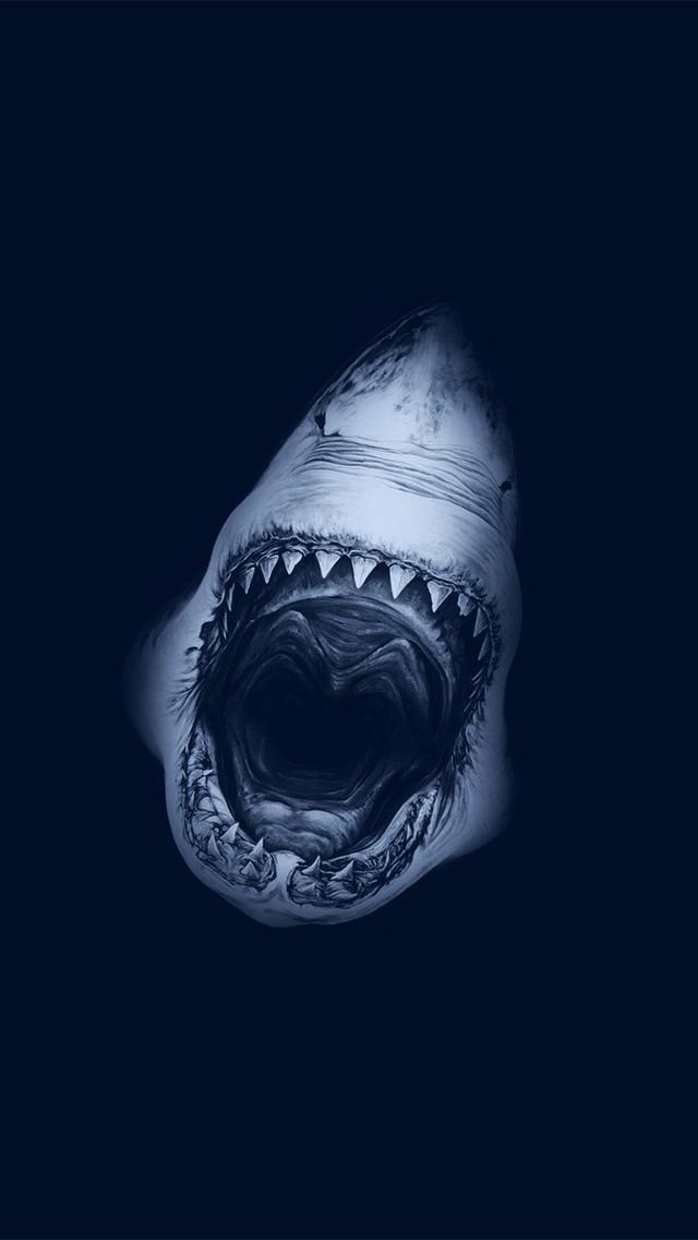 サメの口を開け ロック画面の画像 高精細手peヒカル機東ソーna 3壁紙壁紙 動物 壁紙