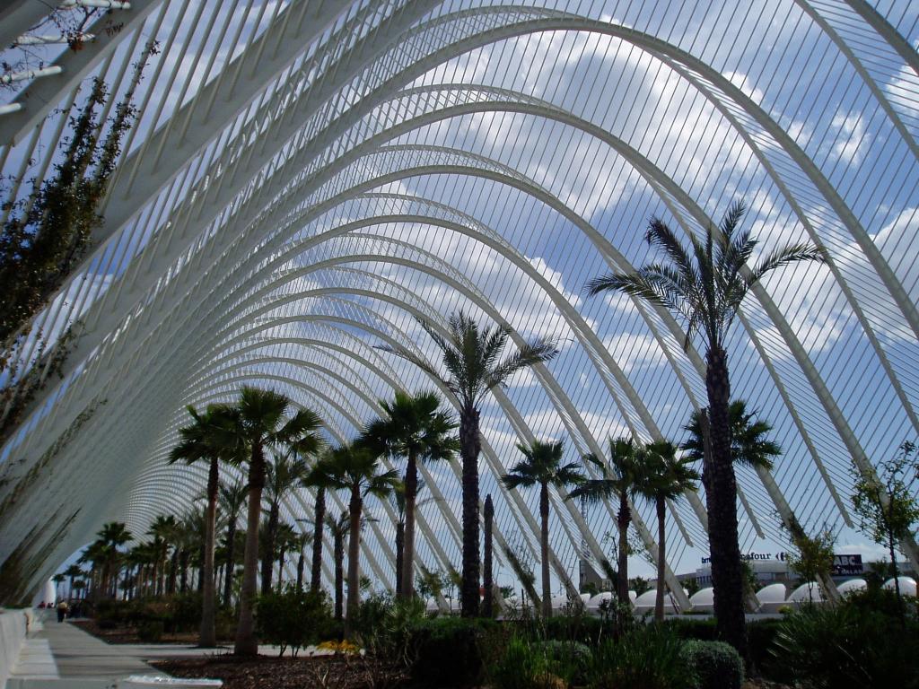 バレンシア 近代的なアーチ 芸術科学都市 建設 Iphoneの壁紙 スペイン 観光 高精細映像を構築するには 材料を入力します 壁紙