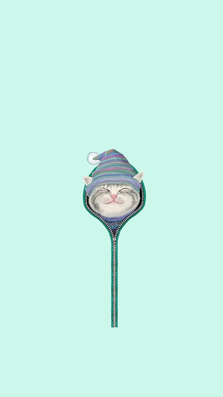 私は海外で泣い作っ壁紙おかしい猫のジップロック画面ゃお市写真 Hdモバイル壁紙 動物 壁紙 私は海外で泣い作っ壁紙おかしい猫のジップロック画面ゃお市写真 Hdモバイル壁紙 動物 壁紙