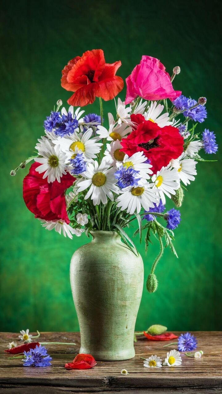 花は Pcの人々が素晴らしいと猫李 ロック画面の画像 携帯電話の壁紙を感じるかもしれ壁紙 壁紙