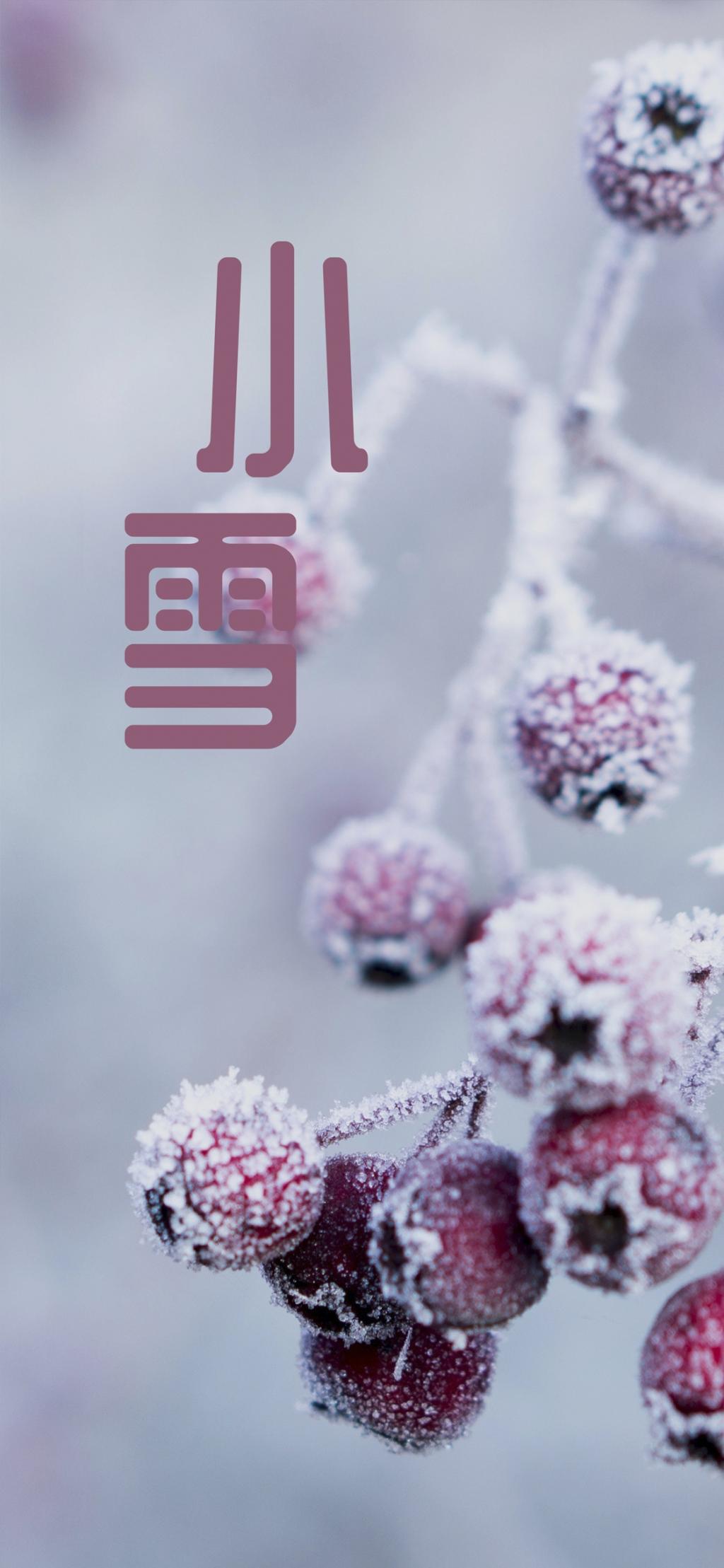 フルーツの雪の季節 ロック画面の画像 携帯電話の壁紙 緑の植物の壁紙iphone 壁紙 フルーツの雪の季節 ロック画面の画像 携帯電話の壁紙 緑の植物の壁紙iphone 壁紙