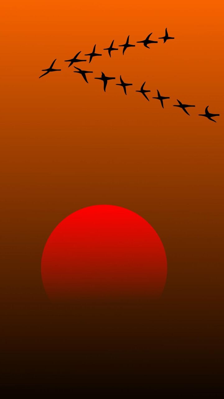 18年07月01日 壁紙