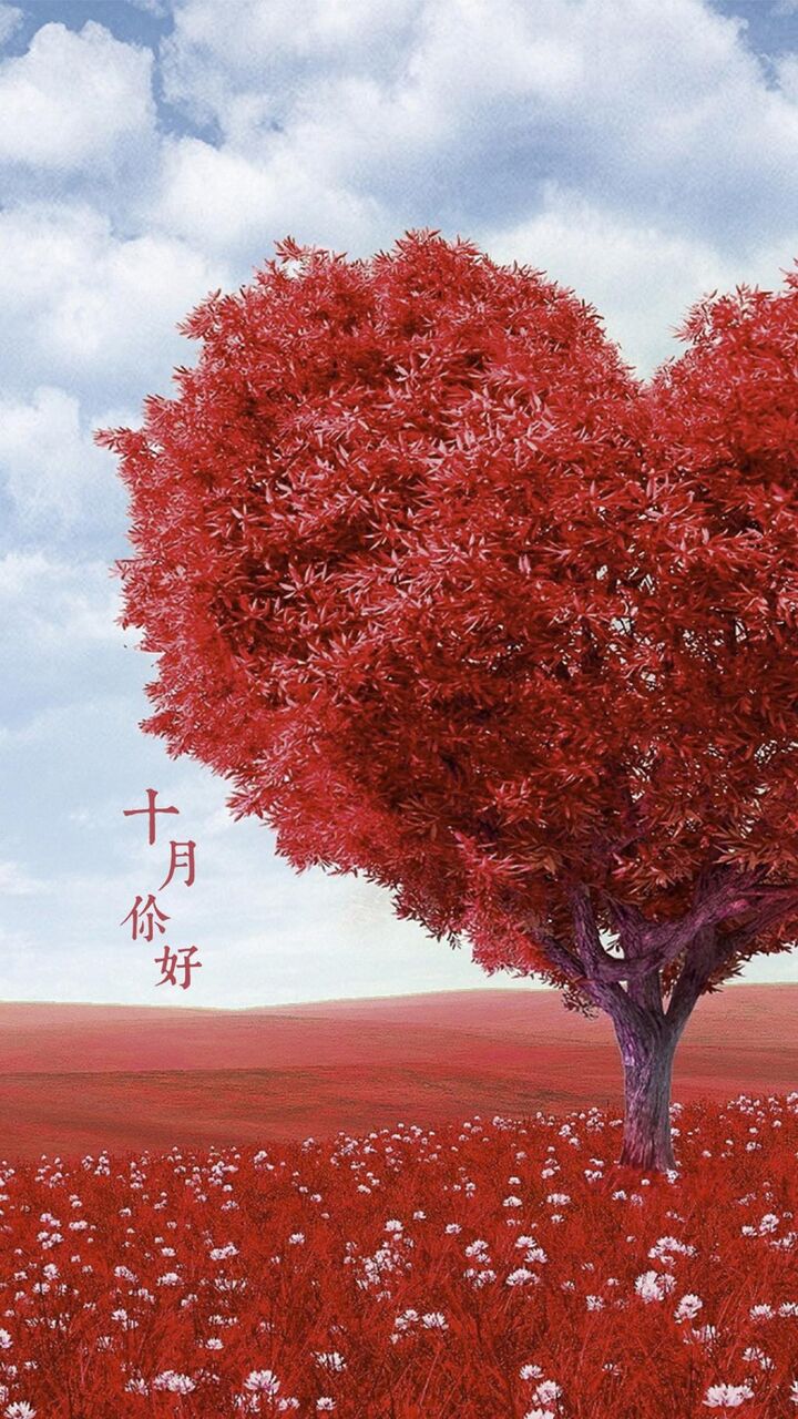 10月こんにちは 咲く愛の木 ロック画面の画像 Hdの携帯電話の壁紙 壁紙ji Bu里風景 壁紙