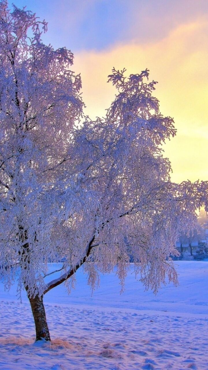 美しい自然の風景雪の夕日の写真 ロック画面イメージ 高清明の壁紙携帯電話の壁紙 風景 壁紙