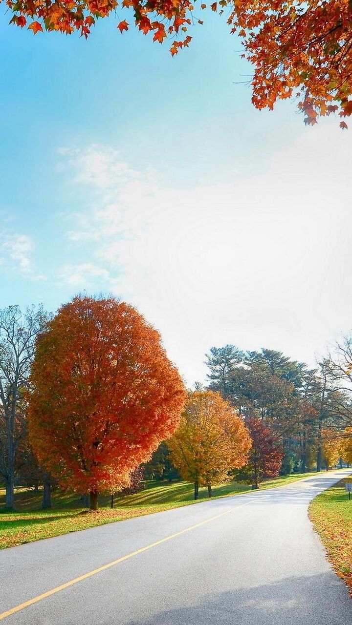 秋の風景の壁紙 ロック画面の画像 Hdの携帯電話の壁紙 風景のgui珪藻土の道 壁紙