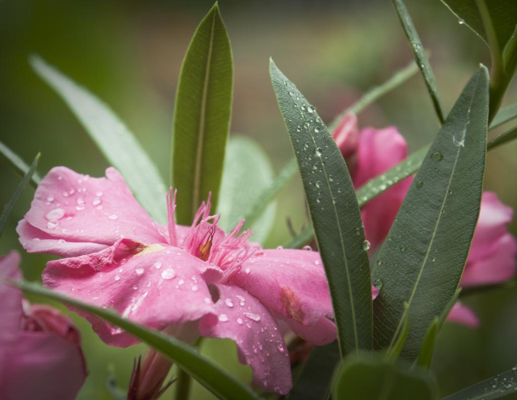 03年03月02日 壁紙