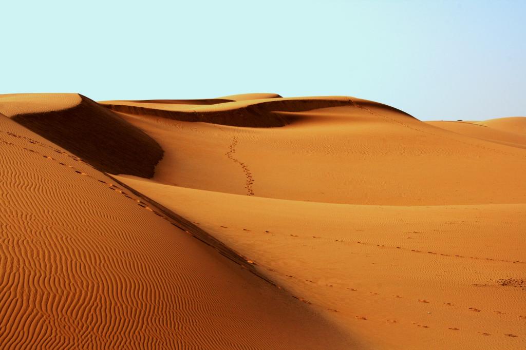 砂漠 アフリカ ベドウィン白 黒 壁紙 足跡 砂丘 乾燥 高精細画像 材料入力します 壁紙