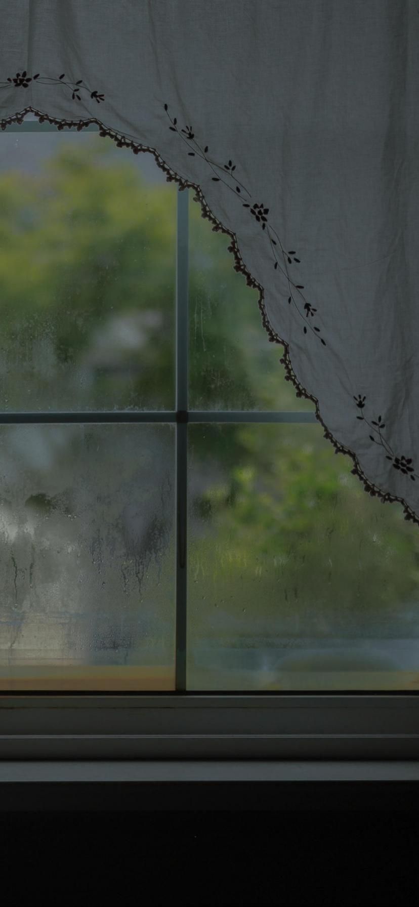 静かに窓の外の雨 ロック画面の画像 Hdの壁紙の花のsuミリアンペアホ電話の壁紙 風景を見て 壁紙