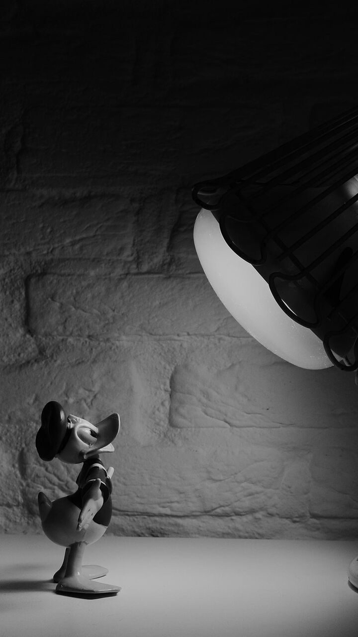 ランプの下でドナルドダック ロック画面の画像 Hdモバイル壁紙 相互suジャイアントパンダ属は イ壁紙代替nnミリアンペアを持っています 壁紙
