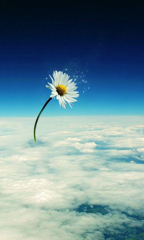 クラウド ロック画面の画像 壁紙 缶hdの携帯電話の壁紙をペイント 風景を過ごしました 壁紙