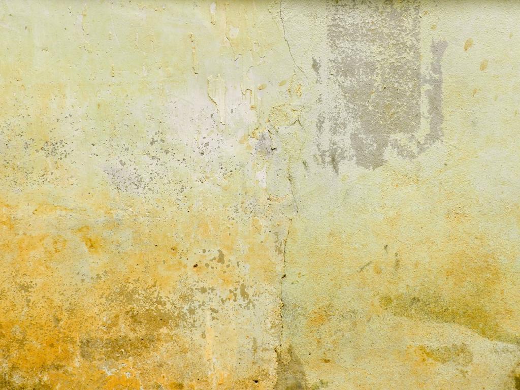 モルタル 壁 年齢 黄色 茶色 亀裂 テクスチャ 鳥の高精細写真が壁紙 材料を入力します 壁紙
