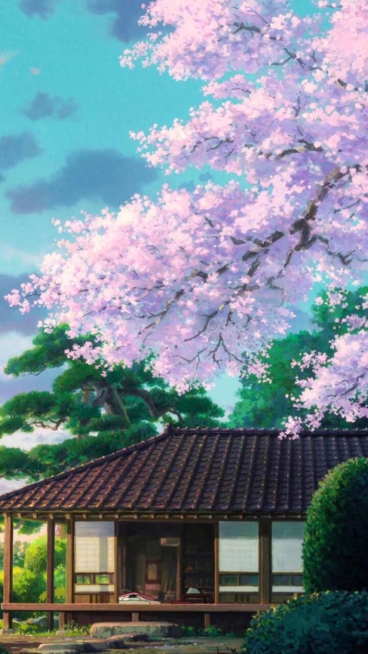 美容お花畑美しい桜の壁紙 ロック画面の画像 携帯電話の壁紙 壁紙