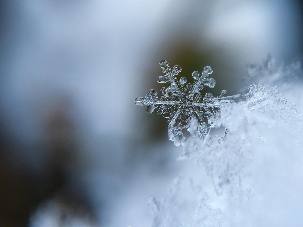 雪 雪 結晶雲壁紙 雪の結晶 寒さ マクロ 冬 高精細画像 材料入力します 壁紙