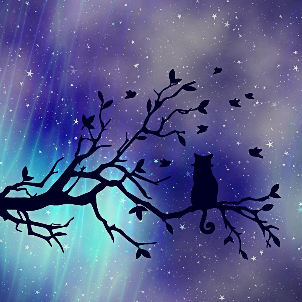テクスチャ 背景 猫 木 夜空vaio壁紙空 夕方の空 星 高精細の画像は 材料を入力します 壁紙