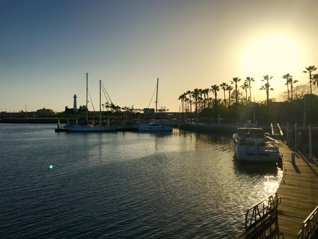 ロングビーチ カリフォルニア白い顔い壁紙 ジョージア アメリカ 旅行 港 ベイ 水 高精細の画像は 材料を入力します 壁紙