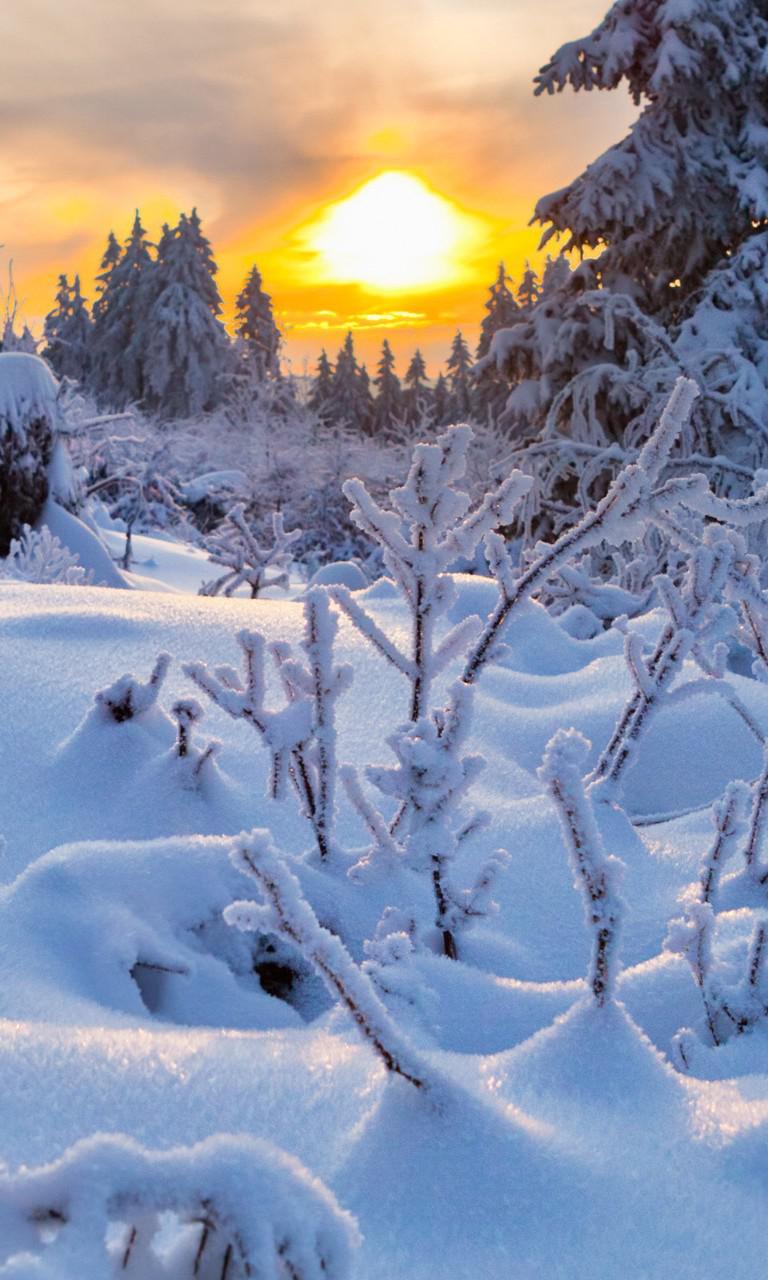 氷と雪 花の写真 Hdの携帯電話の壁紙 風景 壁紙 ロック画面 壁紙