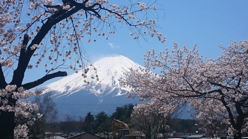 富士山 桜 桜 桜 春 Puーいさん美しいhdの壁紙画像は 材料を入力します 壁紙