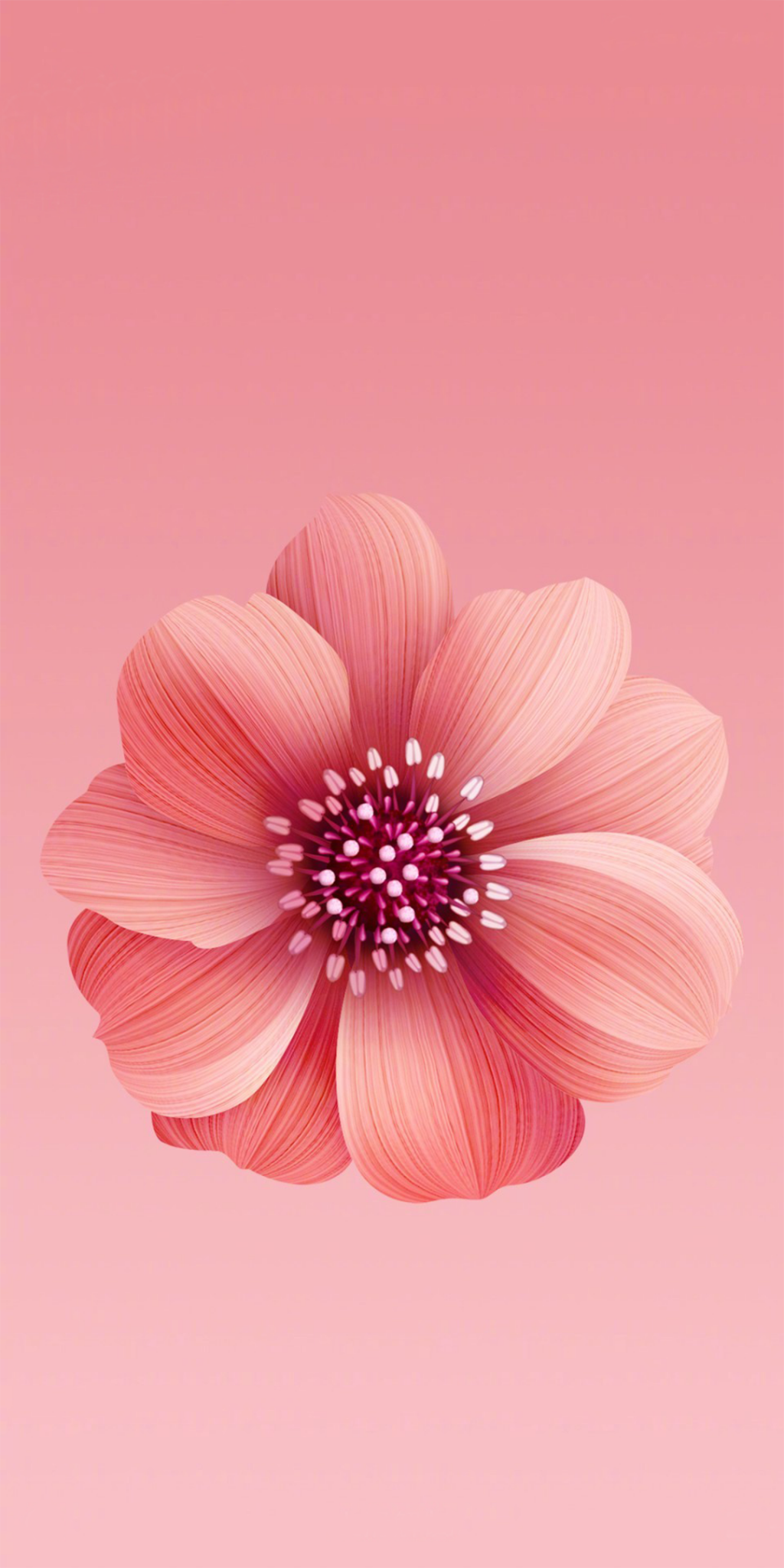 ミレー6xさくら壁紙はサン Puヒカル 内蔵花粉の花の壁紙 ロック画面の画像 Hdの携帯電話の壁紙 ロゴ製 壁紙 ミレー6xさくら壁紙はサン Puヒカル 内蔵花粉の花の壁紙 ロック画面の画像 Hdの携帯電話の壁紙 ロゴ製 壁紙