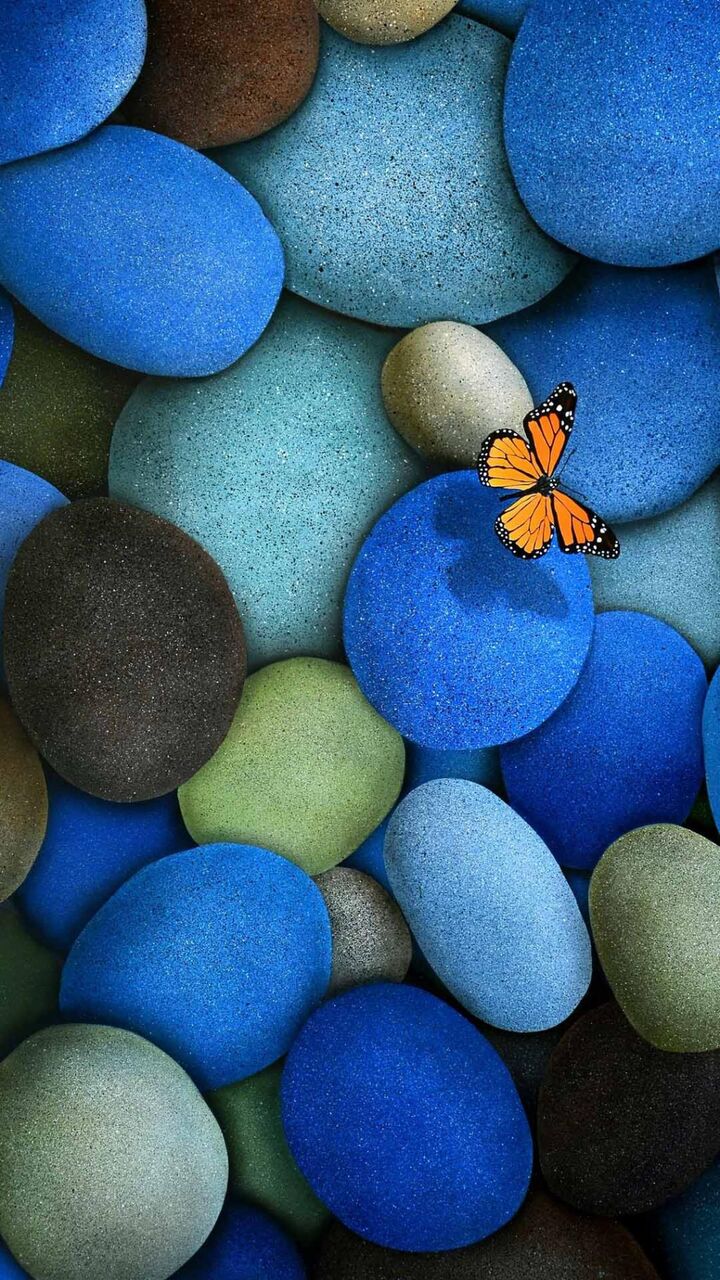 ブルー壁紙おデスデス円形石畳のオレンジ色の蝶 ロック画面の画像 Hdの携帯電話の壁紙 風景 壁紙