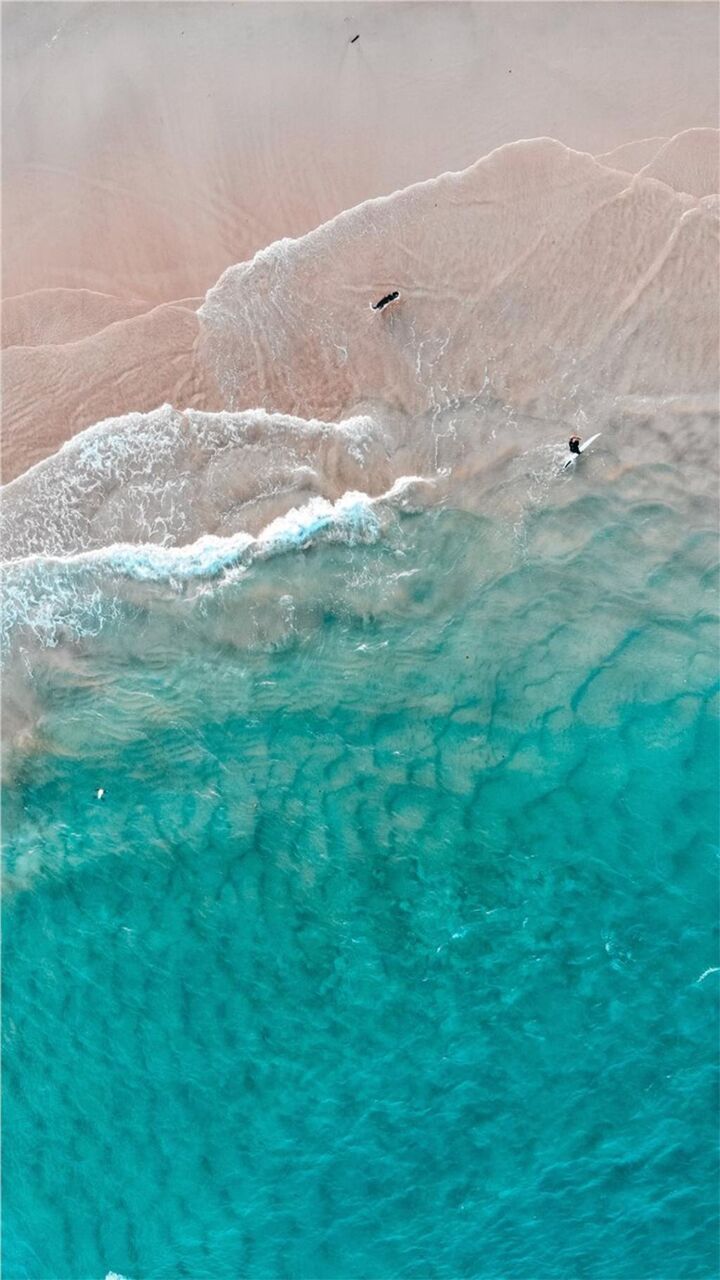 グリーン透明ブルーウェーブ ロック画面の画像 Pc Hdの携帯電話の壁紙猫の壁紙 風景 壁紙