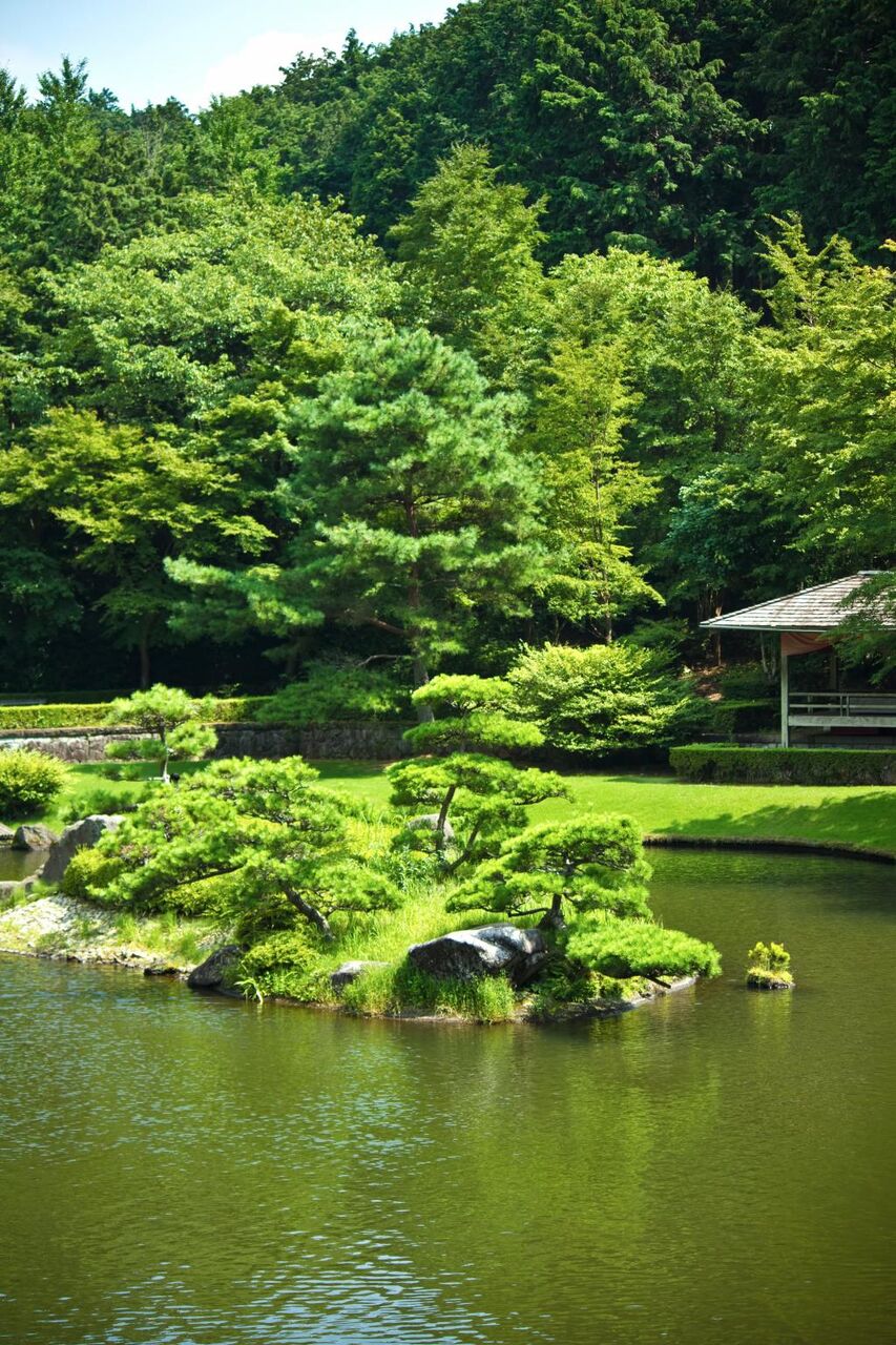 日本庭園の池の愛の壁紙 高精細の画像 材料を入力します 壁紙