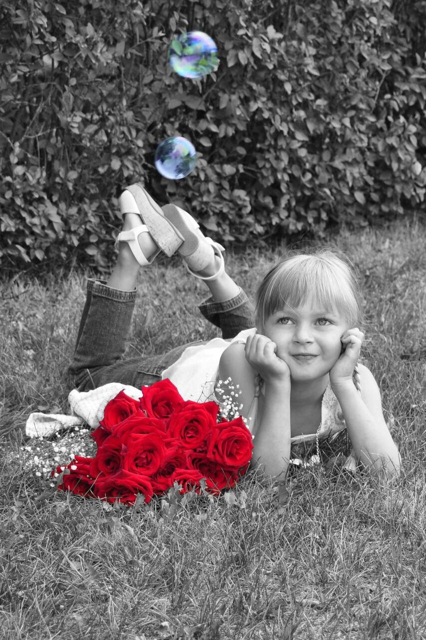 女の子 少しのsuのnumaraーピーiphoneの壁紙の女の子 夢 赤 黒と白 赤いバラ 高精細画像 バラは 材料を入力します 壁紙