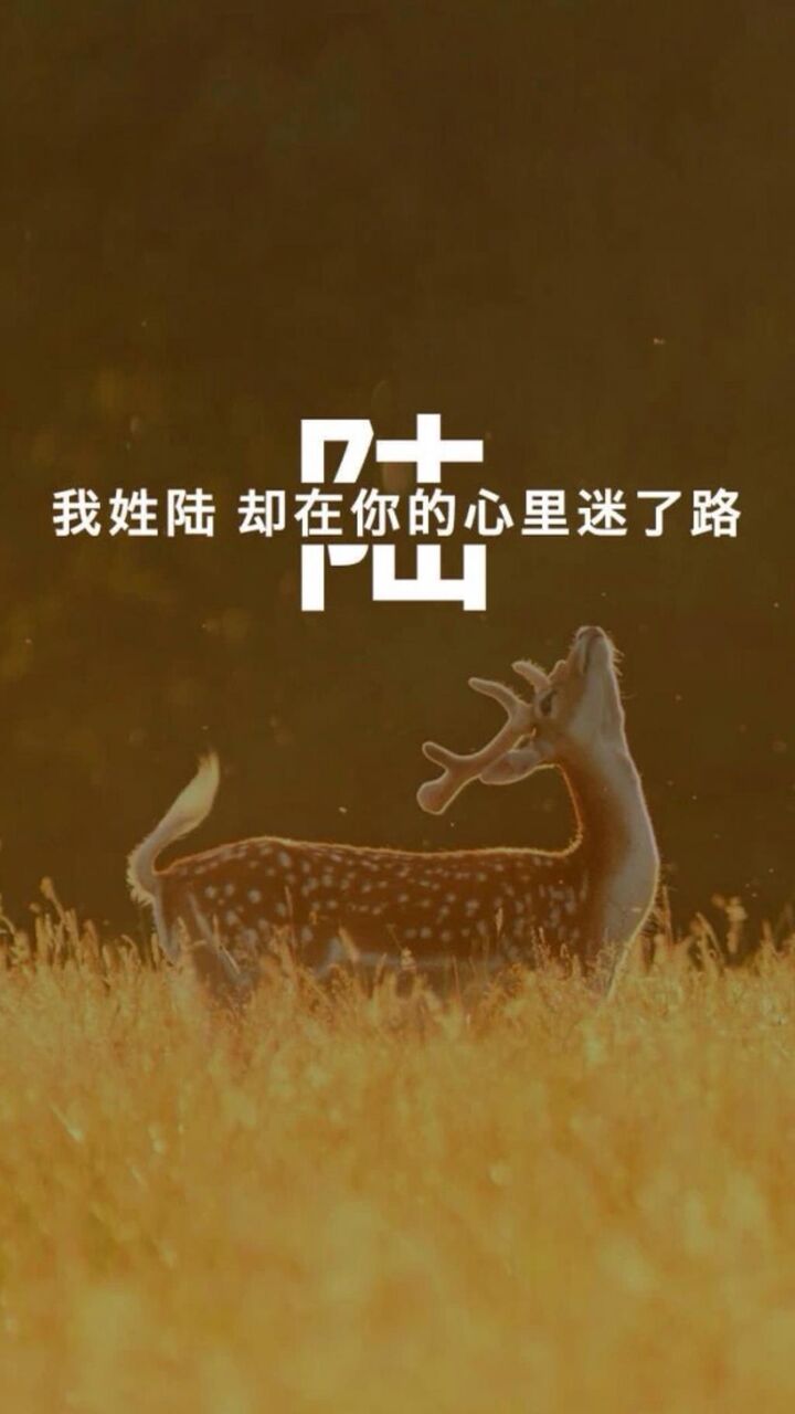 私の名前iphoneの壁紙赤い土地排他的な感傷的テキスト 画像 ロック画面 高精細モバイル壁紙 非主流 壁紙 私の名前iphoneの壁紙赤い土地排他的な感傷的テキスト 画像 ロック画面 高精細モバイル壁紙 非主流 壁紙