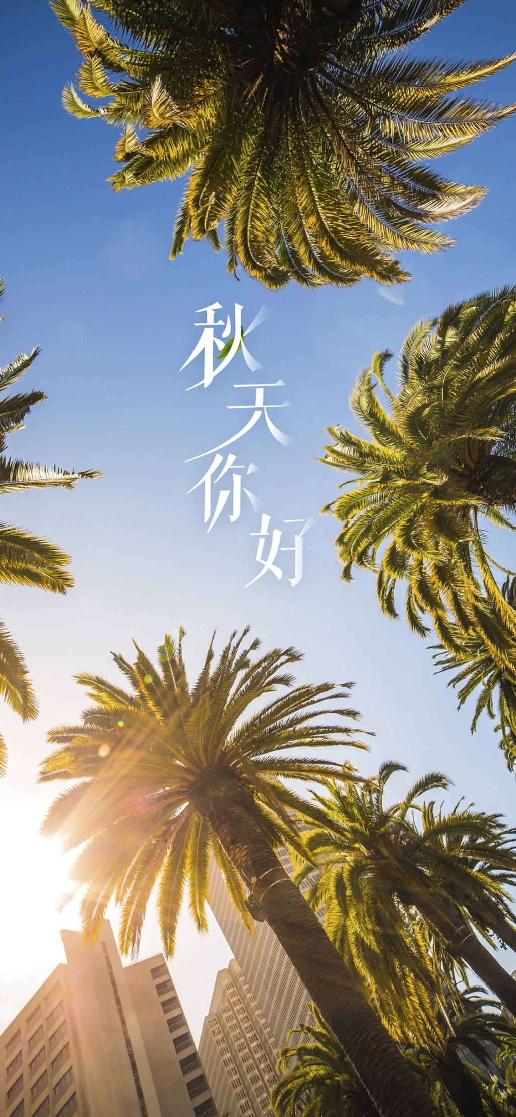 このとき 太陽が穏やかアップ ロック画面イメージ 高精細の携帯電話iphone Xホ1つの森壁紙画像壁紙 風景となっています 壁紙