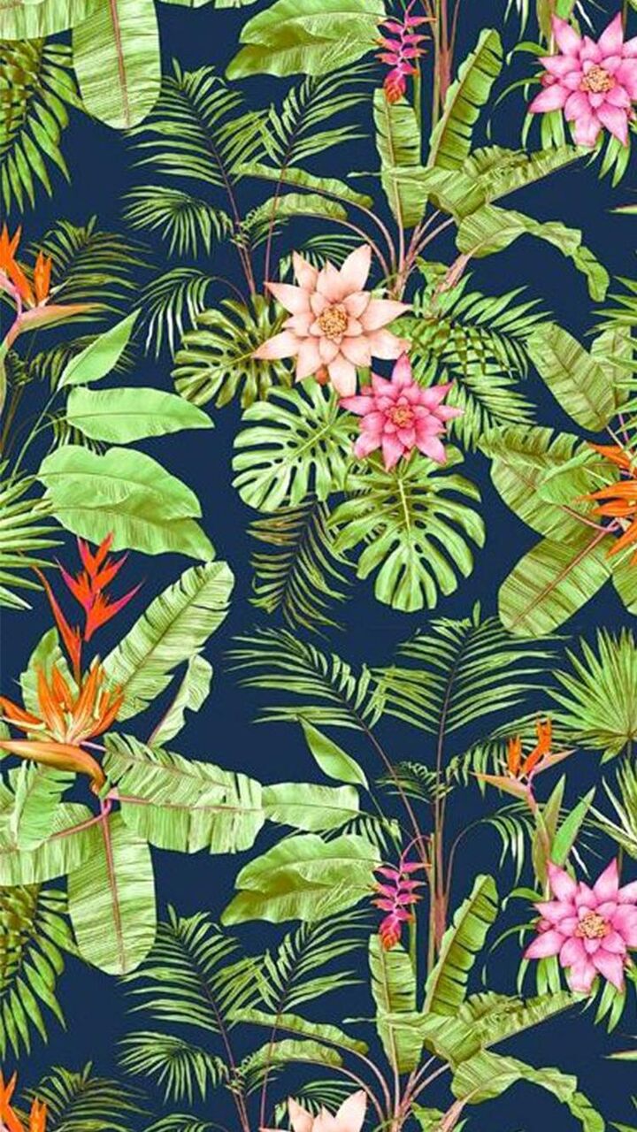 植栽の花 ジャングル ロック画面の画像 電話カイsファクトリーlecハンドル壁壁紙紙 植物 壁紙