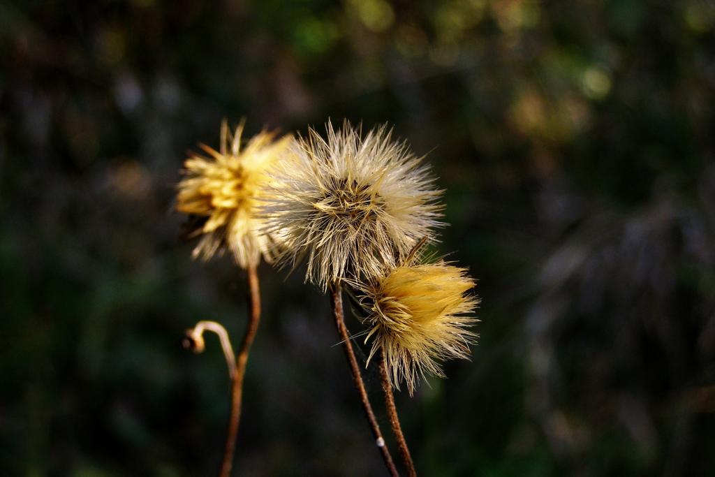 18年10月22日 壁紙