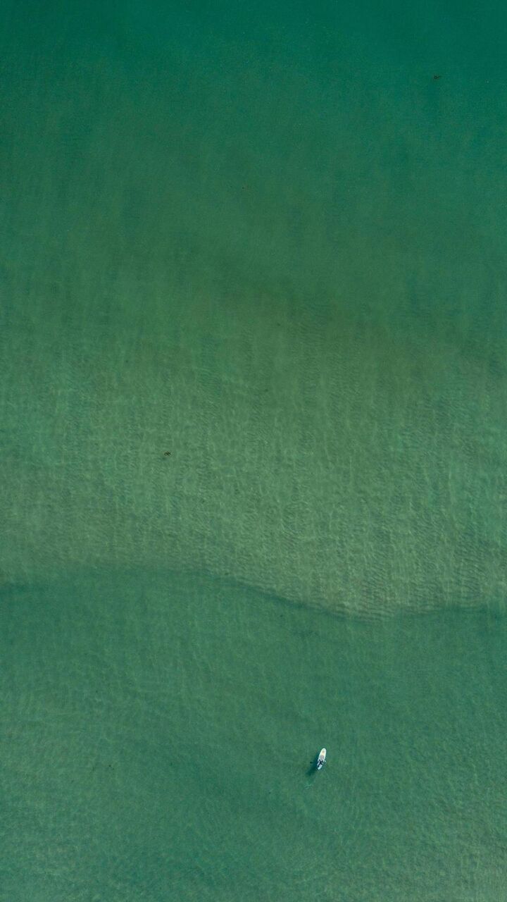 シンプルなダークグリーンの壁紙緑の線の背景 ロック画面の画像 Hdの携帯電話の壁紙 代替 壁紙