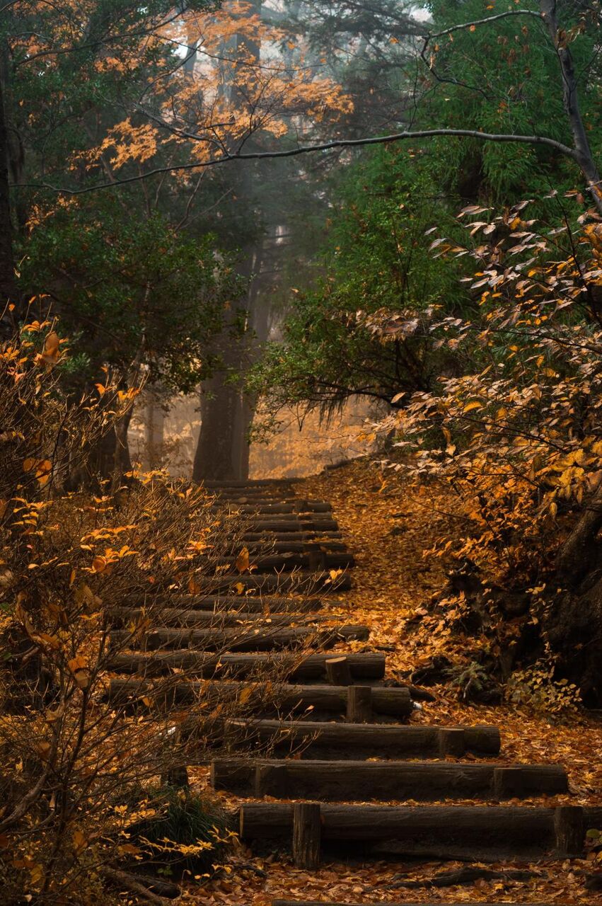 Lite Bu美しい壁紙xperiaが色や山のライン 高精細画像を落ちる 材料を入力します 壁紙