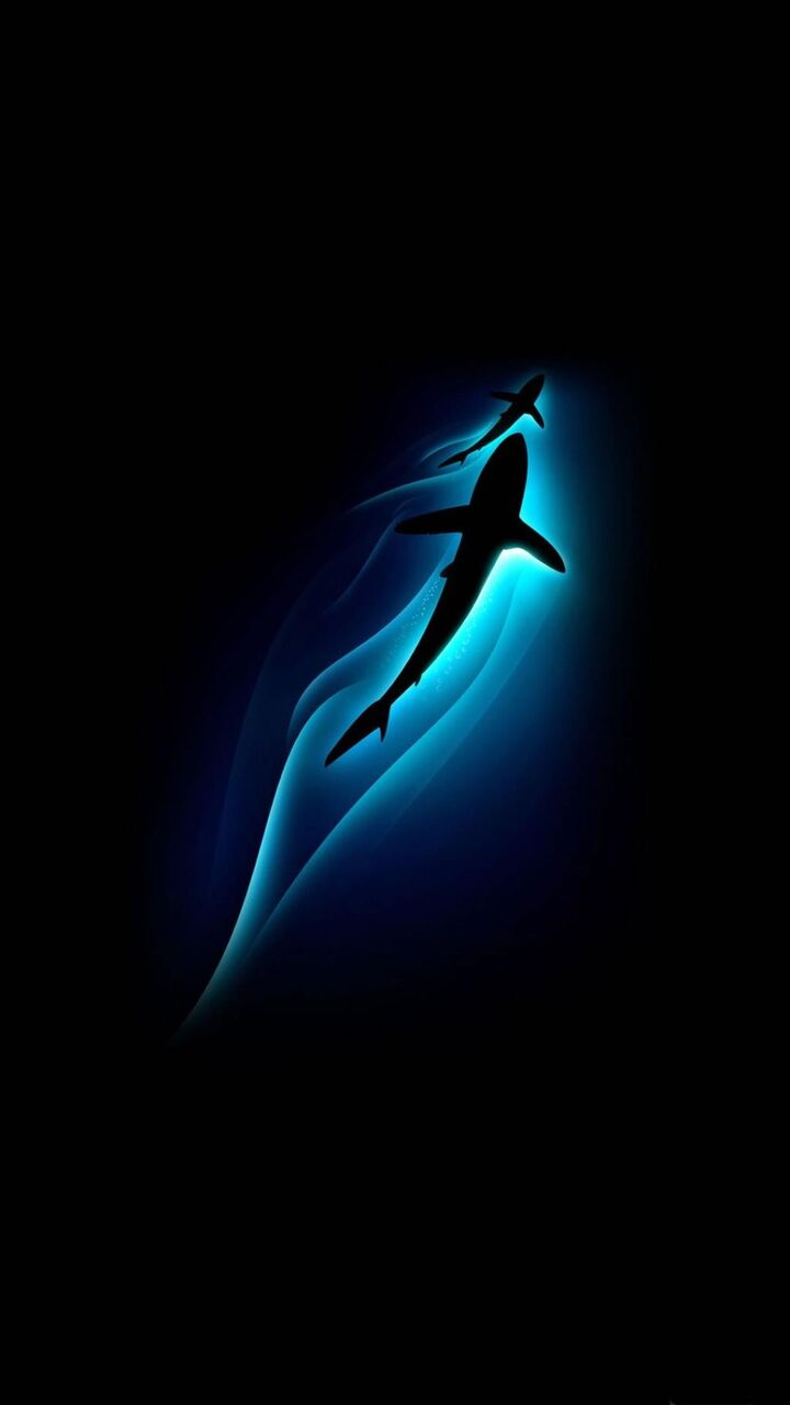 光のサメの海の深さ ロック画面イメージ 高精細手の自宅のマシンの壁紙の壁紙 動物 壁紙